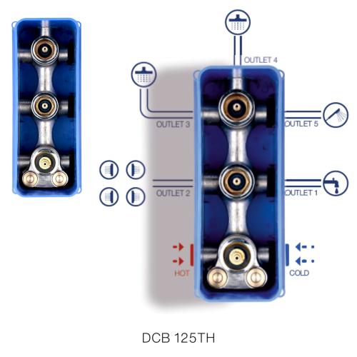 Thermostatic Mixer & Diverter (2 Inlet & 5 Outlet) Concealed Body